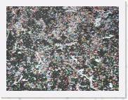 2006-03-05_15-31-52_Carnaval_88,0mm_F7,1_1_160_eme_DiMAGE A2 * 2560 x 1920 * (3.77MB)